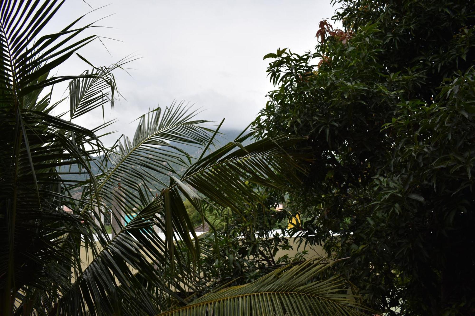 Rainbow Guest House Tiruvannāmalai Exterior foto