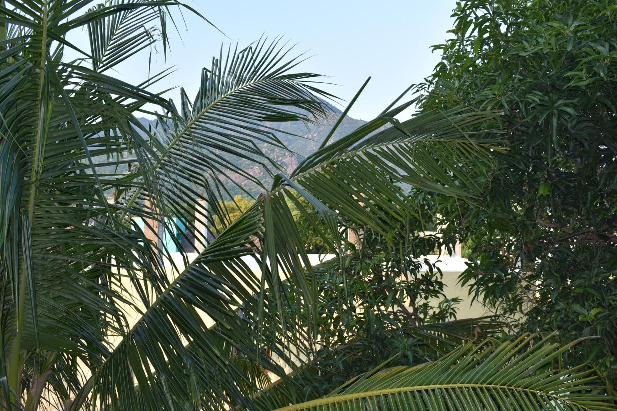 Rainbow Guest House Tiruvannāmalai Exterior foto